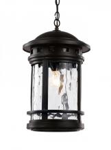 Trans Globe 40376 BK - Boardwalk Collection 1-Light, Outdoor Hanging Lantern Pendant with Water Glass