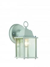Trans Globe 40455 WH - 1LT WALL-SQUARE-OUTD-CLEAR BEV