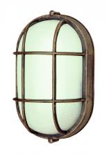 Trans Globe 41005 RT - Aria 1-Light Caged Ribbed Glass Bulkhead Pocket Lantern
