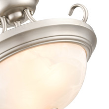 Bowl Semi-Flush Mts.
